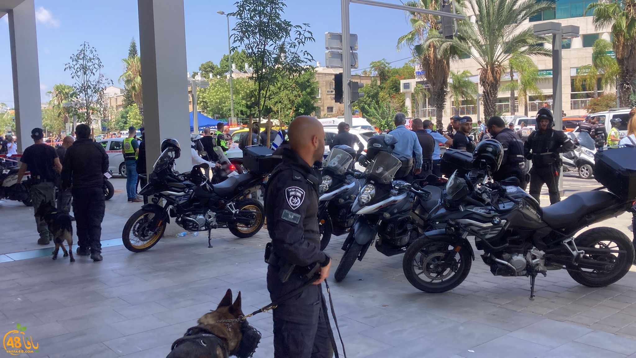 WhatsApp Image 2023-07-04 at 2.05.18 PM (2).jpeg